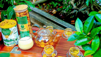 Gen Z “Trồng vàng” trên núi