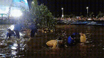 CLIP: Gay cấn cuộc thi mò cua biển nhanh nhất ở Cà Mau