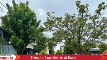 MTTQ phường Đông Sơn phát huy vai trò khối đại đoàn kết toàn dân