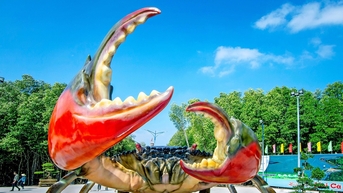 'Hello Ca Mau' - ចង្វាក់​ភ្ជាប់​ក្លិន​នៃ​ព្រៃ​ភាគ​ខាង​ត្បូង​ក្នុង​ទីក្រុង​ហូជីមិញ