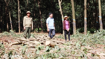 កំពុងរៀបចំសម្ភារៈសម្រាប់ផ្លូវល្បឿនលឿនចំនួន 2 នៅភាគខាងជើងខេត្ត Dong Nai