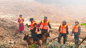 Nỗ lực tìm kiếm người mất tích trong vụ sạt lở núi