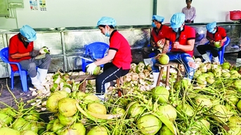 ជំនួយឥណទានសម្រាប់ការនាំចេញផ្លែឈើ និងបន្លែ