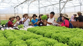 Ninh Binh មានគោលបំណងការពារបរិស្ថានប្រកបដោយនិរន្តរភាព