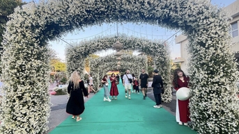 ផ្លូវផ្កា Daisy សម្បូរទៅដោយអ្នកទស្សនានៅទីក្រុងហាណូយ