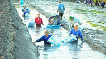 Cần Thơ ‘xanh hóa’ hai ngành chủ lực