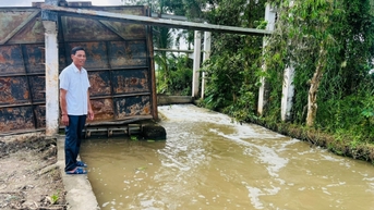 ស្រូវ​ជាង​៨៣០០​ហិកតា​រង​ផល​ប៉ះពាល់​ដោយ​ជំនោរ​ទឹក​ជំនន់។