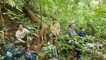 Gìn giữ ‘viên ngọc xanh’ Kon Chư Răng