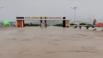 Khánh Hòa: Khu công nghiệp ngập nặng, cầu bị cuốn trôi