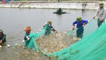Nông nghiệp Quảng Ninh vững vàng mục tiêu tăng trưởng 4%