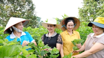 Khấm khá từ cây dâu, con tằm