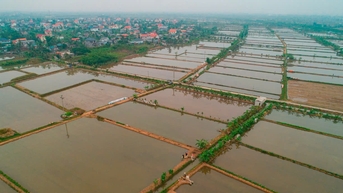 Chuyển đổi tư duy sản xuất nông nghiệp xanh, sạch