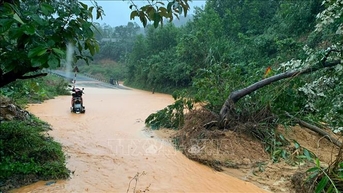 Quảng Trị: Mưa lớn gây ngập, chia cắt hơn 50 điểm, nhiều hộ mất điện