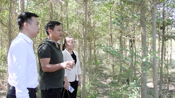 Hoang Van៖ ធ្វើ​យ៉ាង​សកម្ម​ដើម្បី​ក្លាយ​ជា​អ្នក​មាន​នៅ​ស្រុក​កំណើត