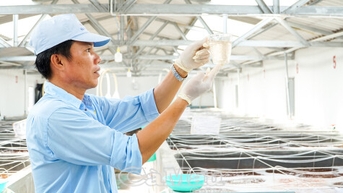 Bừng sáng Hiệp Thành