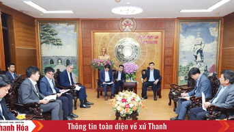 Chủ tịch UBND tỉnh Nguyễn Hoài Anh làm việc với Tập đoàn Sumitomo - Nhật Bản