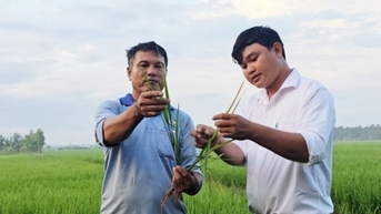 Vụ thu đông trước thử thách dịch hại và thời tiết cực đoan