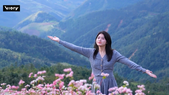 រដូវផ្ការីក Ha Giang - Tuyen Quang ក្លាយជាកន្លែងឆែកឆេរដ៏ទាក់ទាញ