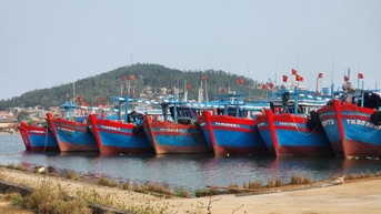 Đề nghị sớm nâng cấp, mở rộng các cảng cá Lạch Hới, Lạch Bạng, Hòa Lộc