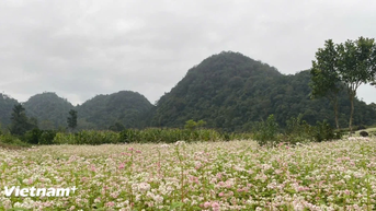 "Miền đá nở hoa" - Lễ hội du lịch đặc sắc níu chân du khách