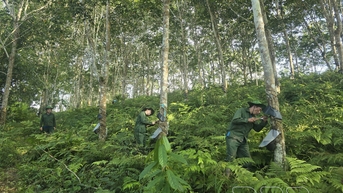 ផ្លាស់ប្តូរជីវិតរបស់អ្នកជាមួយ "មាសស"