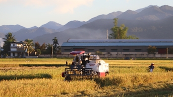 ការកសាងតំបន់ផលិតកម្មក្នុងទិសដៅនៃទំនាក់ទំនង