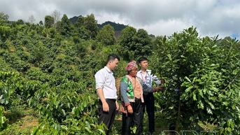 ភាពរឹងមាំថ្មីនៅក្នុងភូមិខ្ពង់រាប