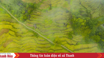 Pù Luông trong sương: “Sa Pa xứ Thanh” mê hoặc lòng người