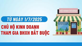 Hơn 12.300 chủ hộ kinh doanh đã đóng bảo hiểm xã hội bắt buộc