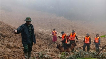 ការរអិលបាក់ដី និងការកកស្ទះចរាចរណ៍នៅក្នុងឃុំភ្នំជាច្រើនក្នុងទីក្រុង Da Nang