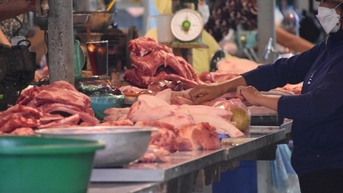 Chủ động nguồn cung thịt lợn cho cao điểm Tết Bính Ngọ 2026