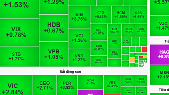 Chứng khoán ngày 18-11: Cơ hội chuyển vốn sang cổ phiếu thu hút dòng tiền