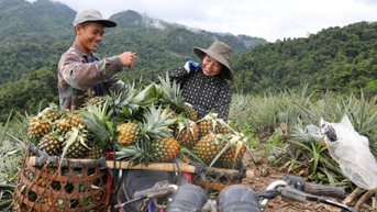 Mường Nhà: Thanh niên tiên phong phát triển kinh tế, thích ứng biến đổi khí hậu