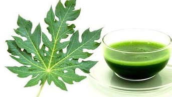 អត្ថប្រយោជន៍ទាំង ៥ ដែលនឹកស្មានមិនដល់នៃស្លឹកល្ហុង