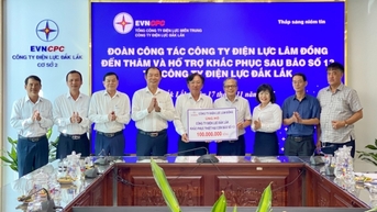 Điện lực Lâm Đồng hỗ trợ Đắk Lắk, Gia Lai khắc phục thiệt hại sau bão
