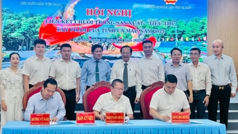 Ca Mau ជំរុញទំនាក់ទំនងខ្សែសង្វាក់តម្លៃ លើកកំពស់ឧស្សាហកម្មនាំចេញក្តាម