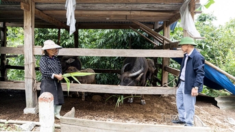 Đòn bẩy sinh kế bền vững