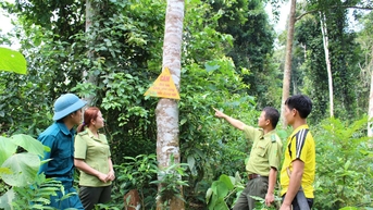 បើកផ្លូវចេញពីភាពក្រីក្រសម្រាប់ប្រជាជន តាមរយៈការការពារព្រៃឈើ