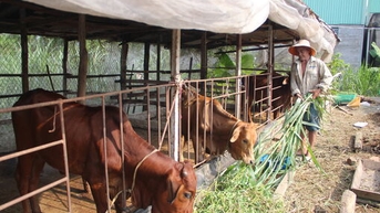 Giảm nghèo bền vững, nâng tầm diện mạo nông thôn