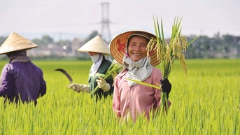 រួមគ្នាជាមួយកសិករដើម្បីកសាងកសិកម្មទំនើប និងនិរន្តរភាព