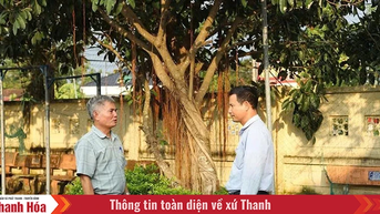Bí thư chi bộ hết lòng vì dân