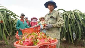 ចំណេះដឹងដើម្បីកាត់បន្ថយភាពក្រីក្រ៖ [មេរៀនទី៣] ការរស់នៅប្រកបដោយសុខភាពល្អជាមួយផ្លែស្រកានាគ