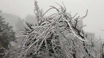 Đón không khí lạnh cực mạnh, miền Bắc rét 6 ngày, vùng núi dưới 5 độ C