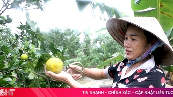 Phát triển mô hình kinh tế, trao cơ hội giảm nghèo bền vững