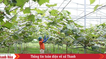 ផលិតកម្ម​កសិកម្ម​ទាក់ទង​នឹង​ការ​ការពារ​បរិស្ថាន