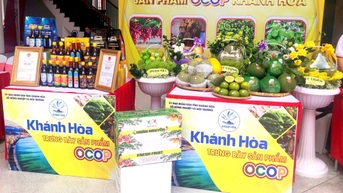 OCOP Khánh Hòa: Vươn mình thành ‘đại sứ du lịch’