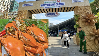 ថ្ងៃនេះគឺជាថ្ងៃដំបូងនៃពិធីបុណ្យអាហារក្តាម Ca Mau នៅទីក្រុងហូជីមិញ៖ អាហារពេលល្ងាចដ៏រំភើប