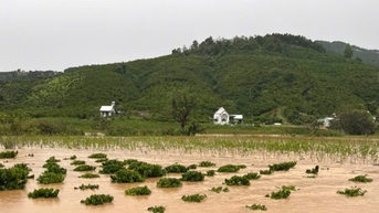 Lũ trên sông Cam Ly duy trì ở mức báo động III, biển Lâm Đồng xuất hiện gió mạnh, sóng lớn