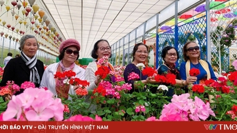 ដំណើរកម្សាន្តនៅទីក្រុង Da Lat ជាច្រើនត្រូវបានពន្យារពេល ឬលុបចោល ដោយសារក្តីបារម្ភពីការរអិលបាក់ដី។