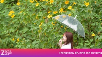 Ba Vi បន្ទាប់ពីថ្ងៃនៃ "សមរភូមិបែកបាក់"